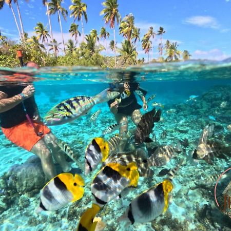 Hutiarii House & Car & Excursions Raiatea Villa Tevaitoa ภายนอก รูปภาพ