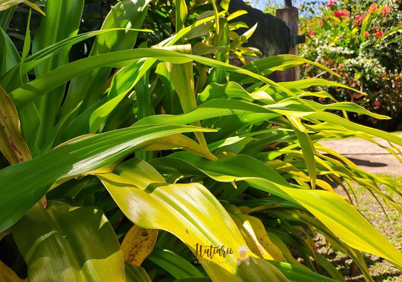 Hutiarii House & Car & Excursions Raiatea Villa Tevaitoa ภายนอก รูปภาพ